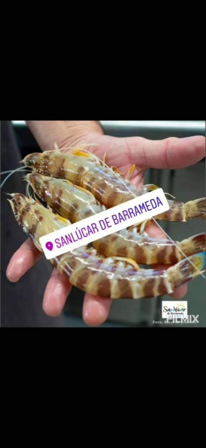 Piso De Dos Dormitorios En El Centro De Sanlucar De Barrameda Luaran gambar